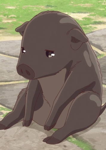Kagura Sohma