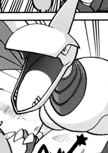 Kahili's Skarmory (English Dub)