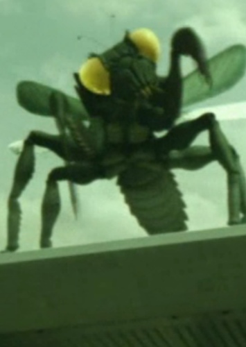 Kamacuras