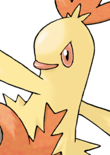 Kamala's Combusken (English Dub)
