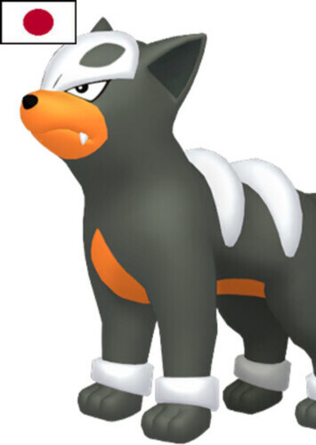 Kamala's Houndour (Japanese)