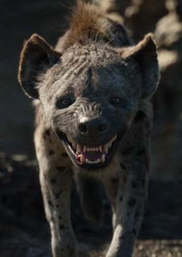 Kamari