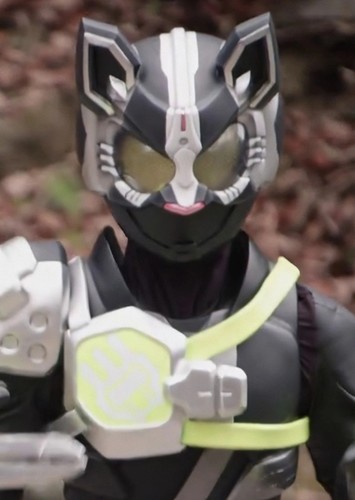 Kamen Rider Hakubi