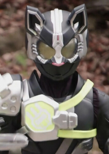 Kamen Rider Hakubi
