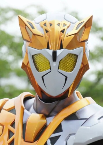 Kamen Rider Valkyrie