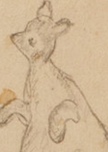 Kanga