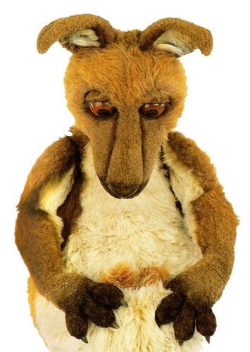 Kangaroo