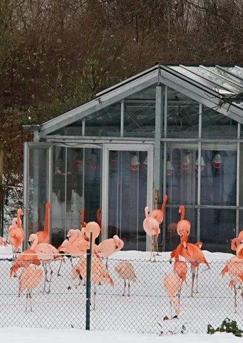 Karlsruhe Zoo