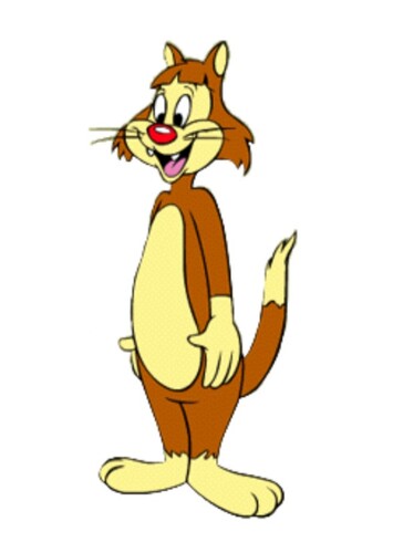 Katnip