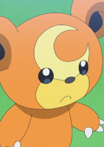 Katy's Teddiursa (English Dub)