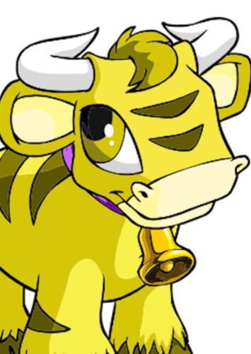 Kau