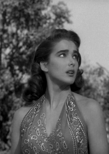 Kay Lawrence