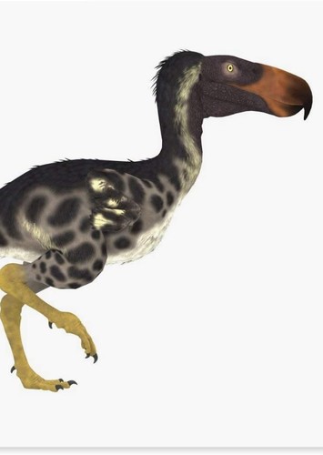 Kelenken