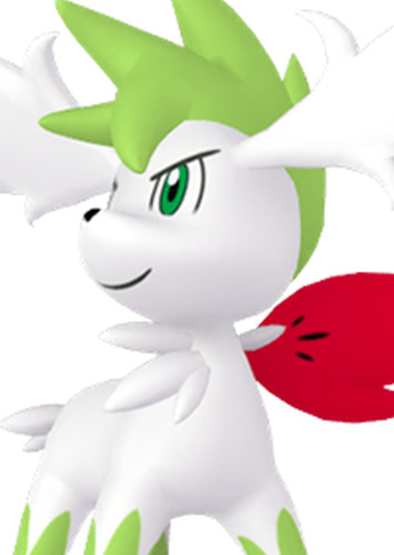 Kester's Shaymin