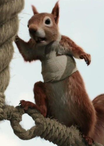Kevin the Red Squirrel