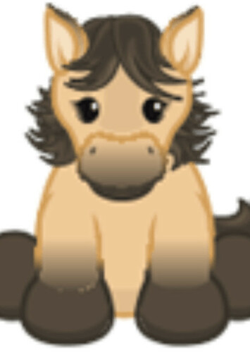 Kiger Mustang