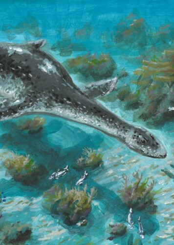 Kimmerosaurus