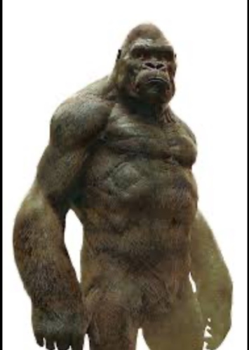 King Kong