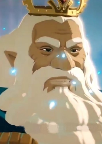 King of Hyrule