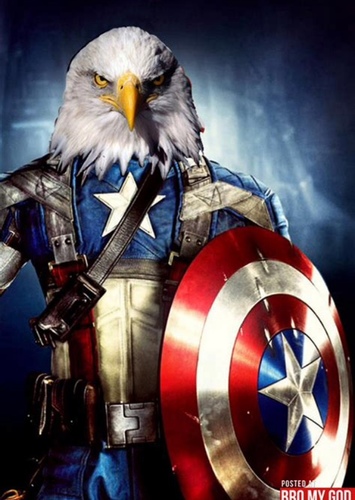 King of the Bald Eagle