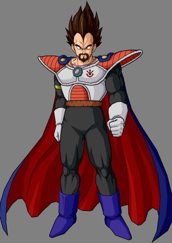 King Vegeta