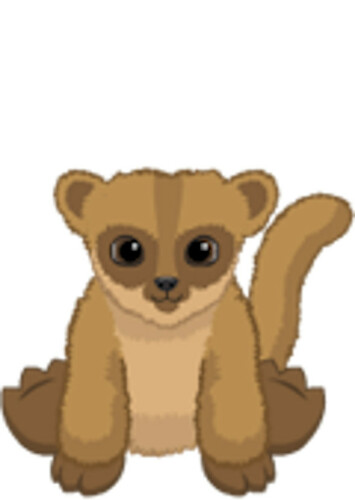 Kinkajou