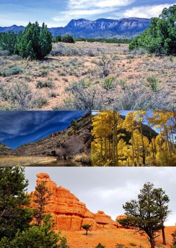 Kirtland Formation