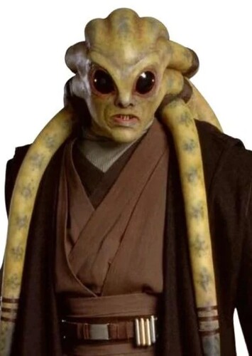 Kit Fisto