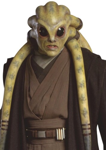 Kit Fisto