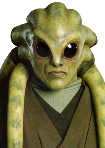Kit Fisto