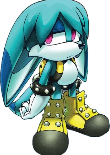 Kitsunami the Fennec