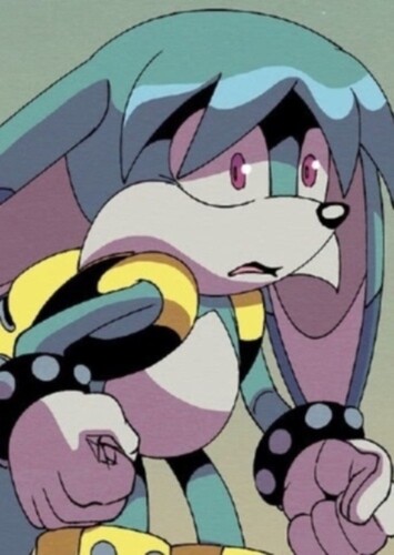 Kitsunami the Fennec