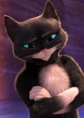 Kitty Softpaws