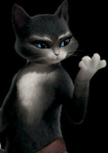 Kitty Softpaws