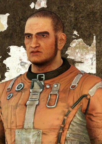 Knight Rhys