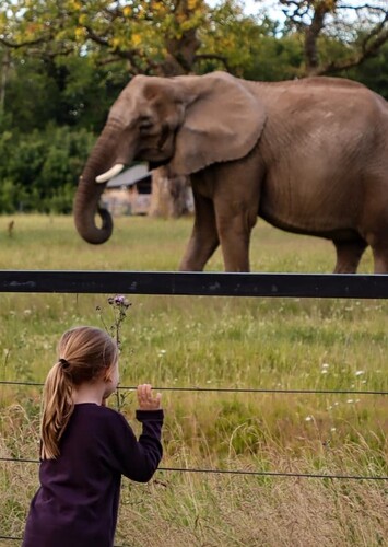 Knuthenborg Safaripark