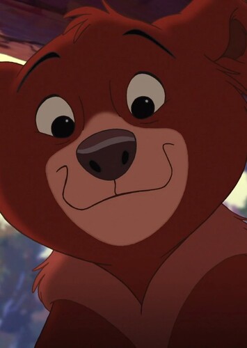 Koda the Bear Cub