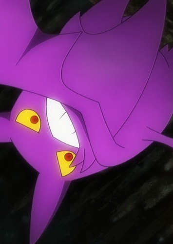 Koga's Crobat