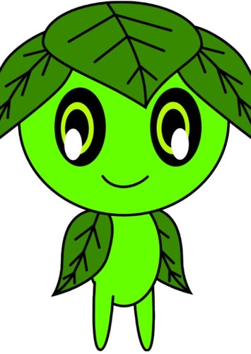 Koko