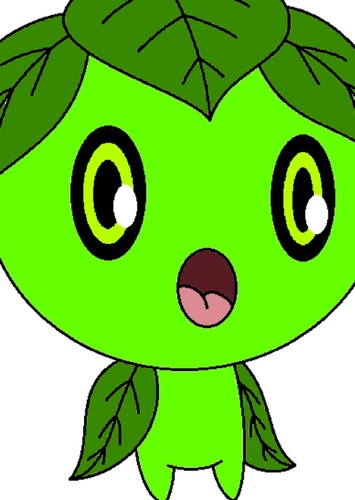 Koko