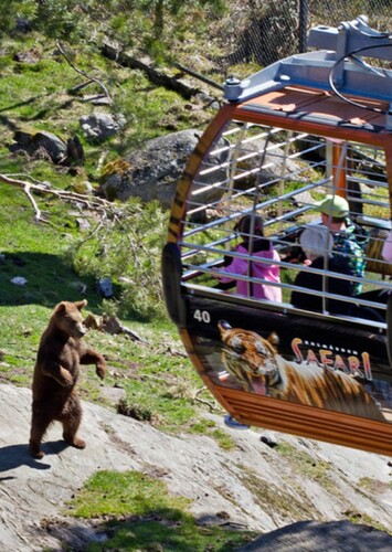 Kolmården Wildlife Park