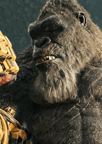 Kong