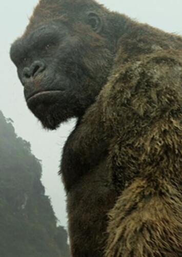 Kong