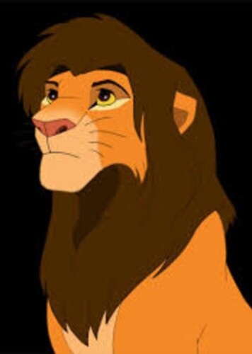 Kopa