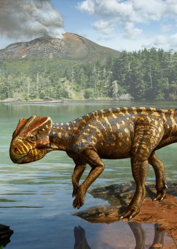 Koreaceratops