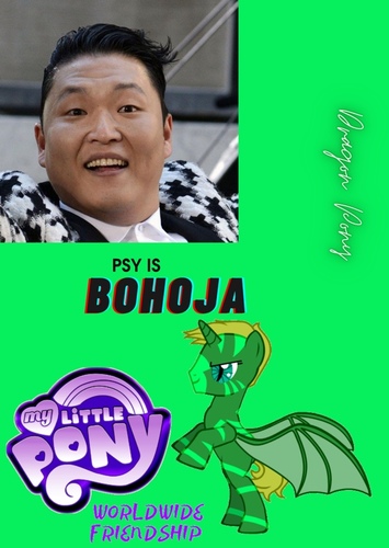 Bohoja