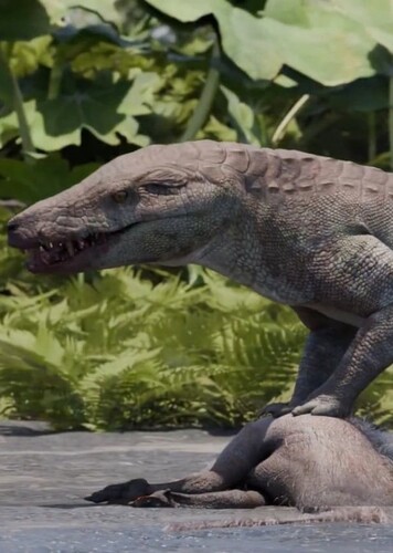 Kostensuchus