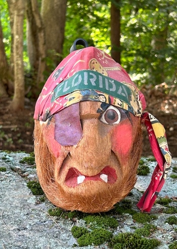 Kotu