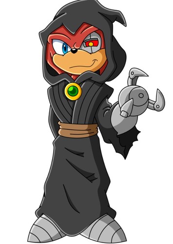 Kragok The Echidna