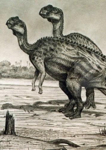 Kritosaurus